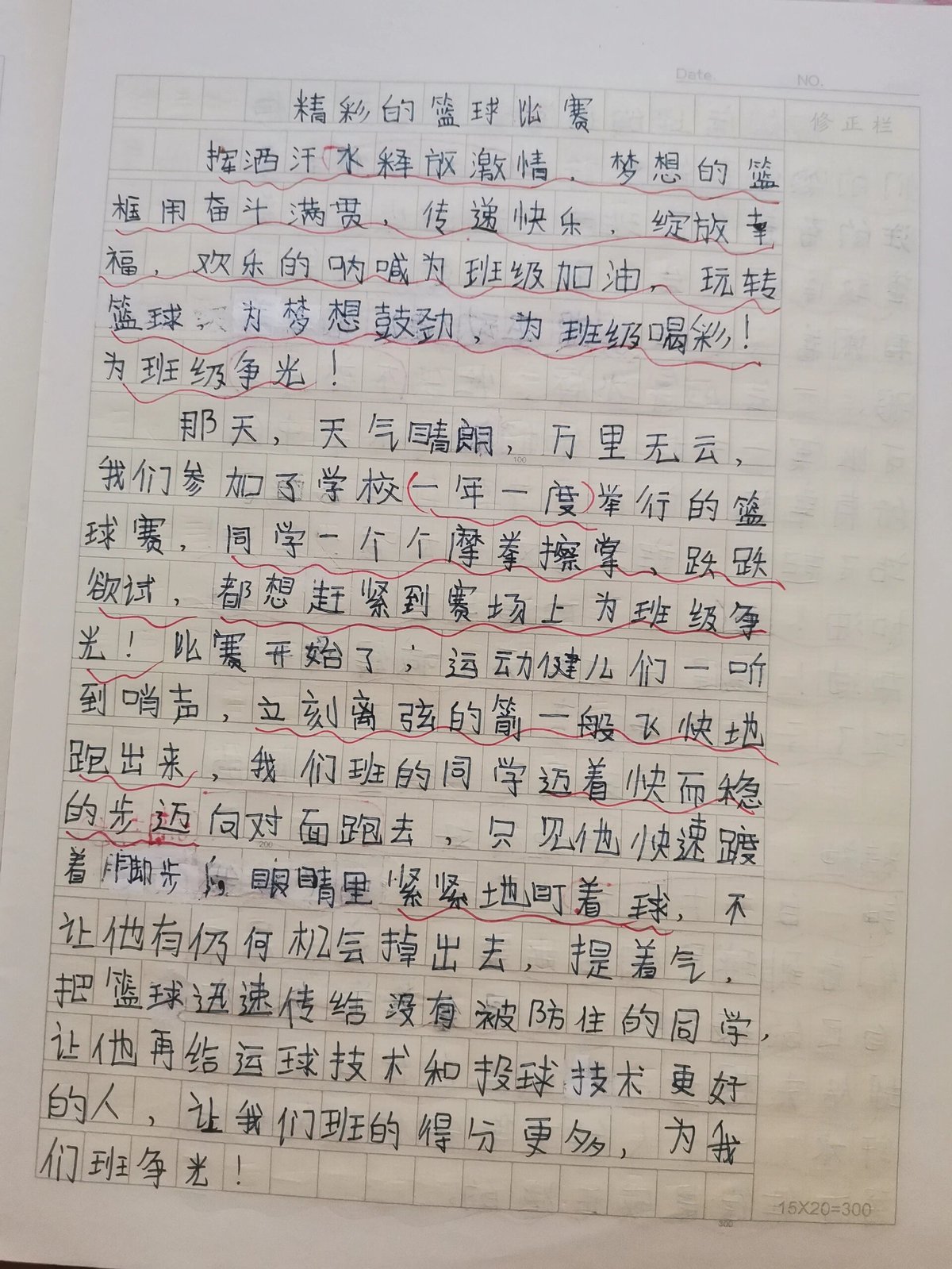 篮球训练感受作文500字初中生